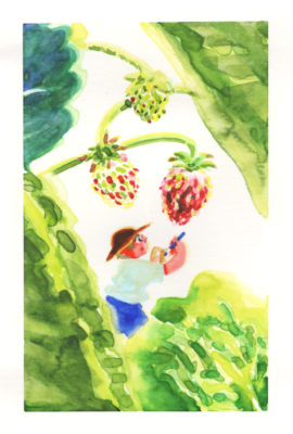 ワイルドストロベリーの成長速度 Wild Strawberry Growth Rate