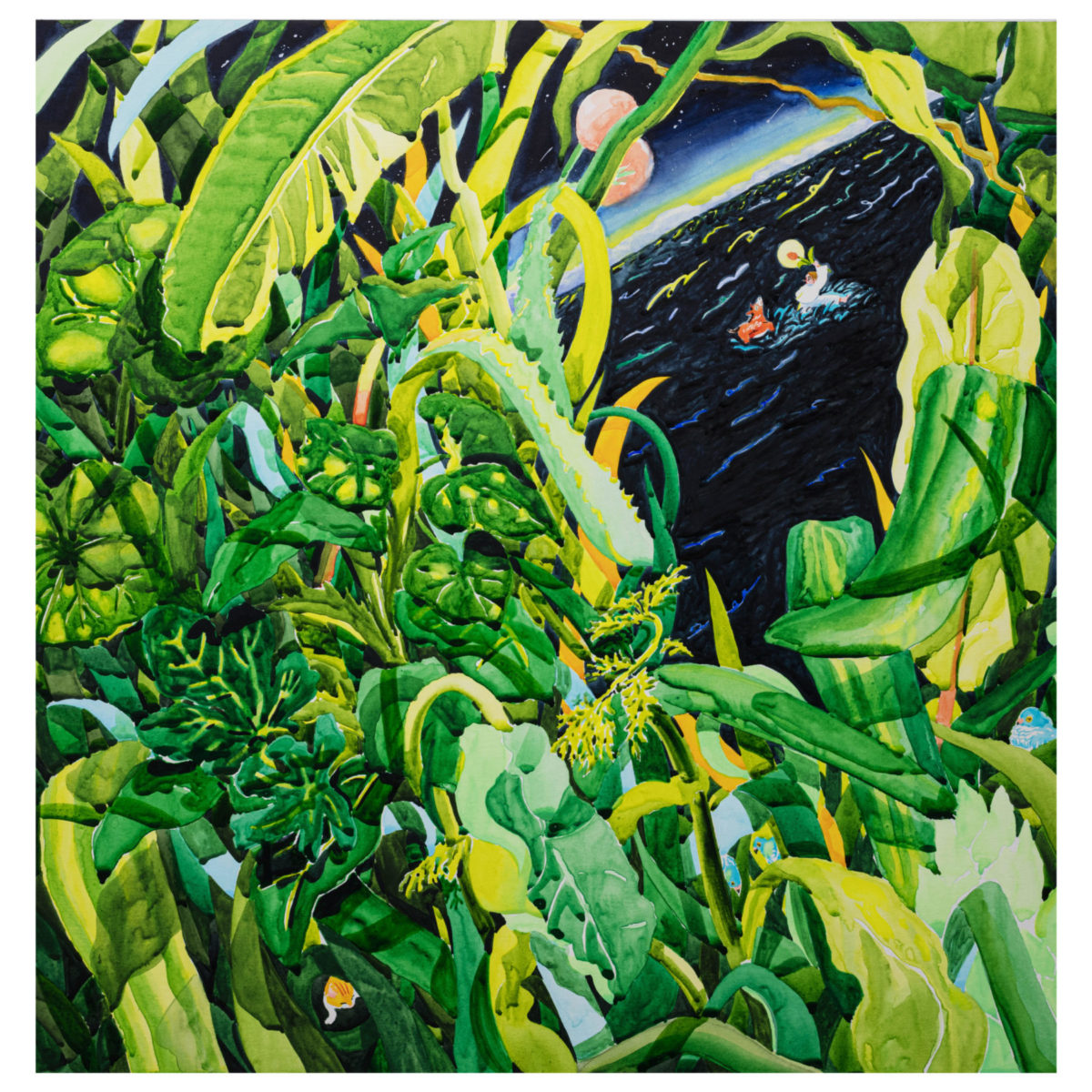 いつもの ぎしき My Daily Ritual